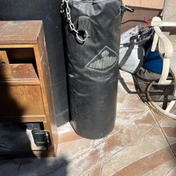 Punching Bag