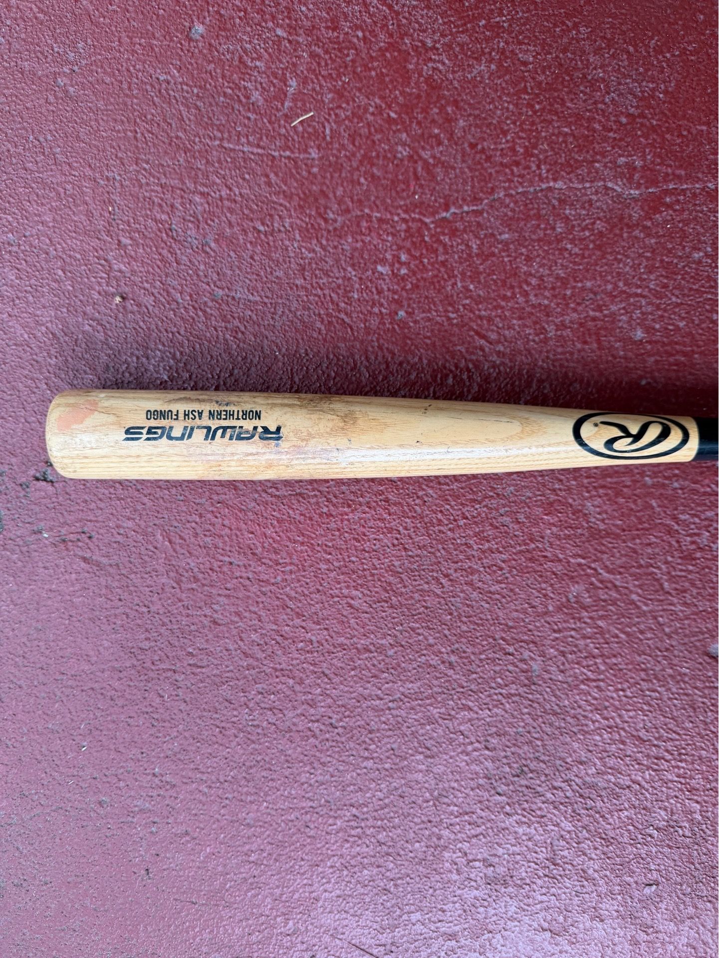 Rawlings northern ash fungo