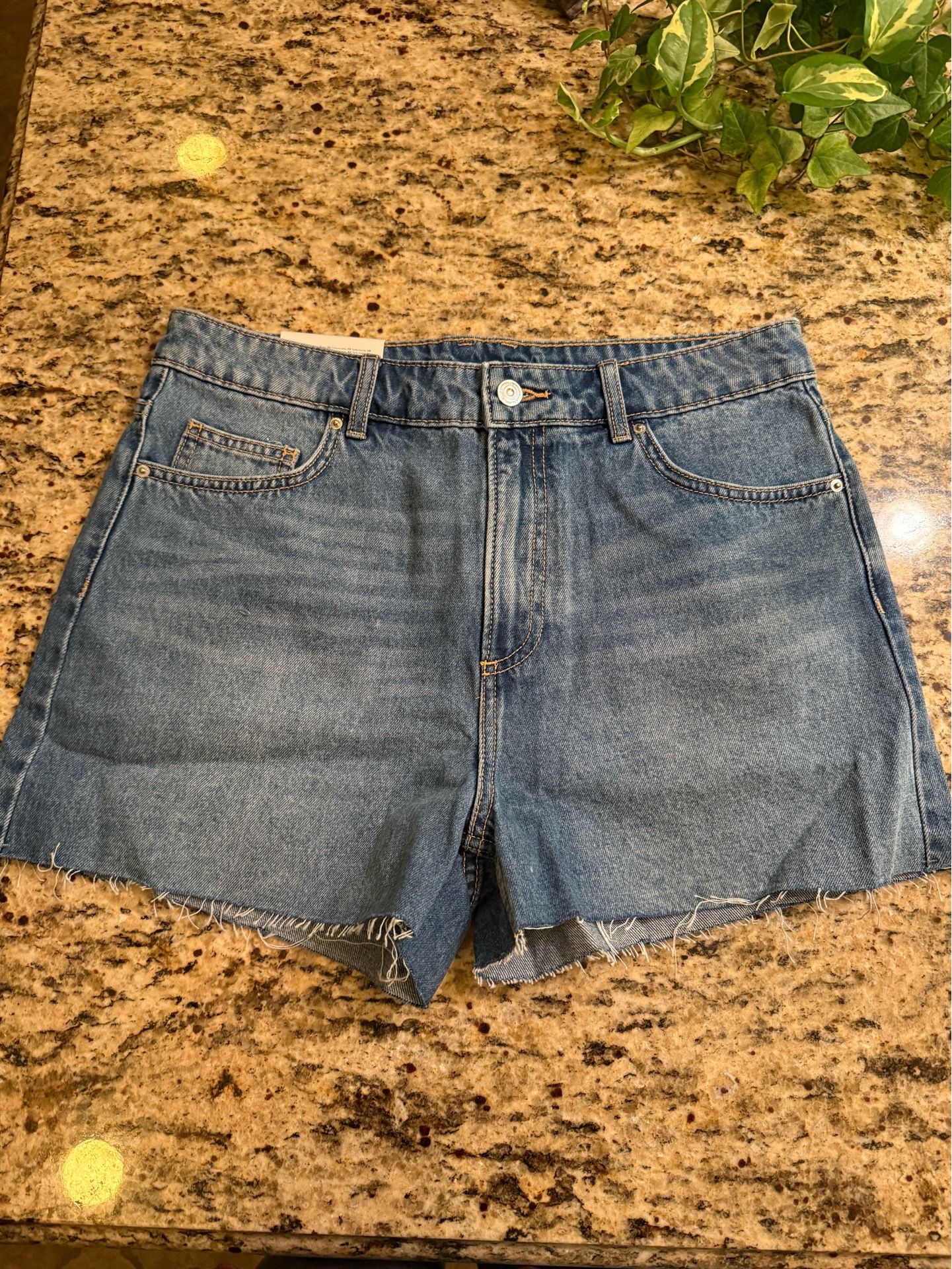 H&M Raw Edge Denim Shorts
