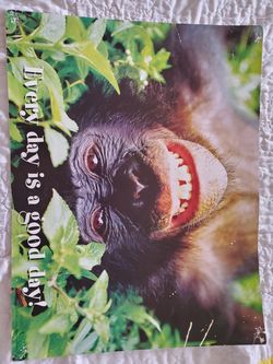 Classroom Poster (22" x 17")