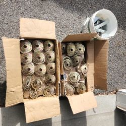 Roofing Coil Nails