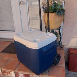 50 QT COLMAN COOLER IN GREAT CONDITION LIGHTLY USED 