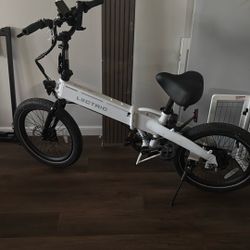 Electric Bike