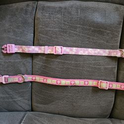 Small Dog Collars And Leashes
