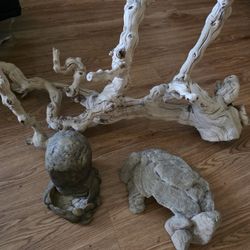 Reptile Branch And Rocks