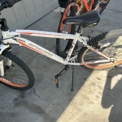 schinning mountain bike size 24”