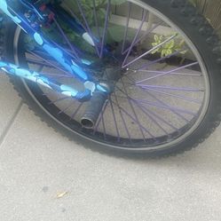 So Cal Flyer Wheelie Bike Popped Rear Tire