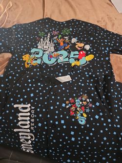 Disneyland Resort 2025