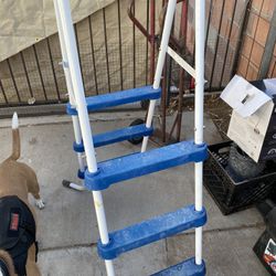 Pool Ladder 