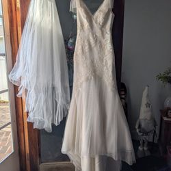 Vera Wang  Wedding Dress