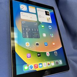 Ipad pro 12.9inch 82gb  OS 16.7 Nothing wrong. Comes with power cord.