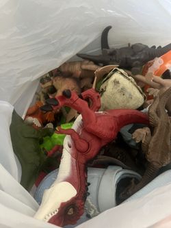 Bag Of Dinosaurs