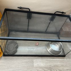 Reptile Tanks