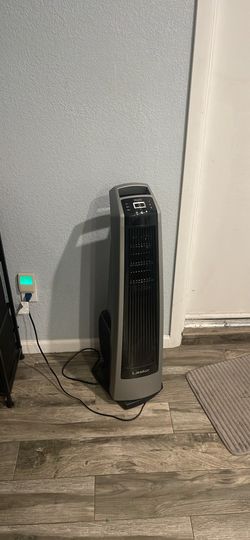 Fan
