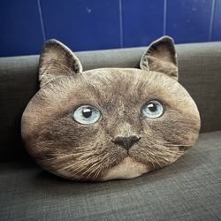 Cat Face Pillow