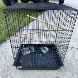 Bird Cage 