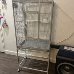 Bird Cage