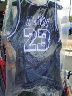 lebron james black panther