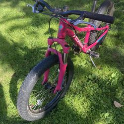 Specialized Girls Mountain Bike 