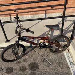 20 Inch Trick Bike 