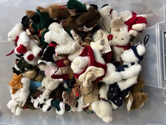 Boyd’s Bears