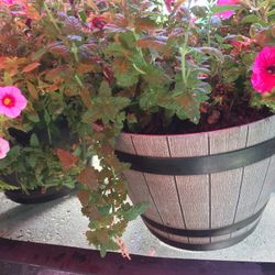 Flower Pots