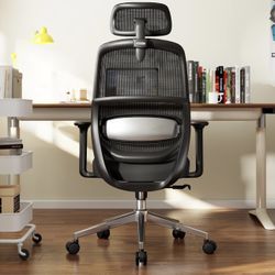 Brand New in box Ergonomic Office Chair High Back Desk Chair with 3D Lumbar Support - Black