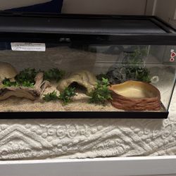 Terrarium / Aquarium 