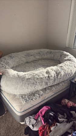 Human Size Dog Bed