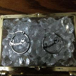 Stainless Steel Earrings 