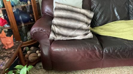 Leather couch brown