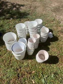 Various size pots