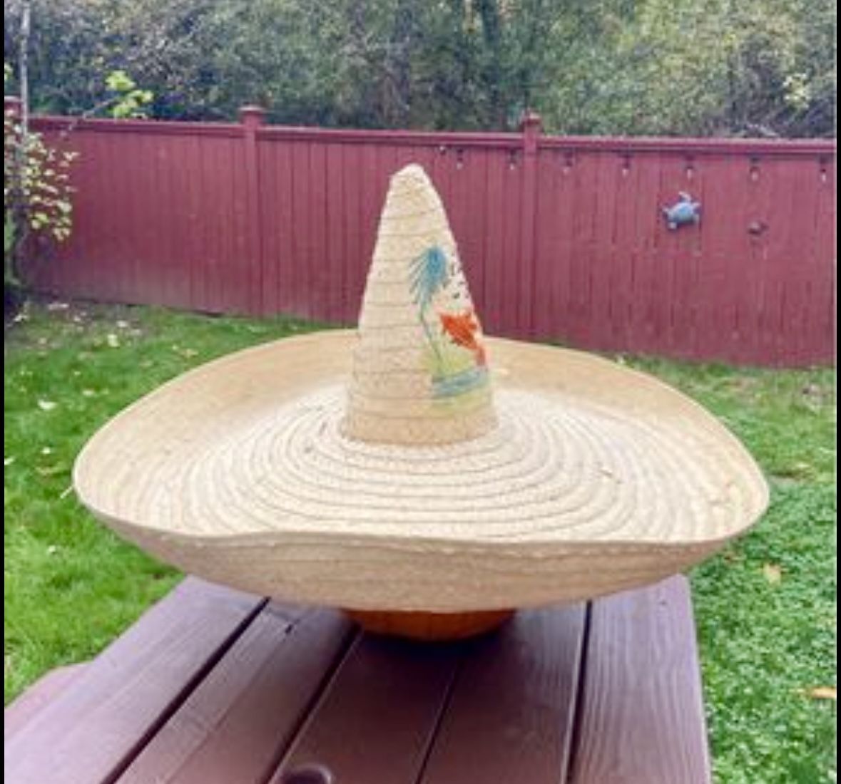 HUGE Sombrero! Cinco de mayo Costume