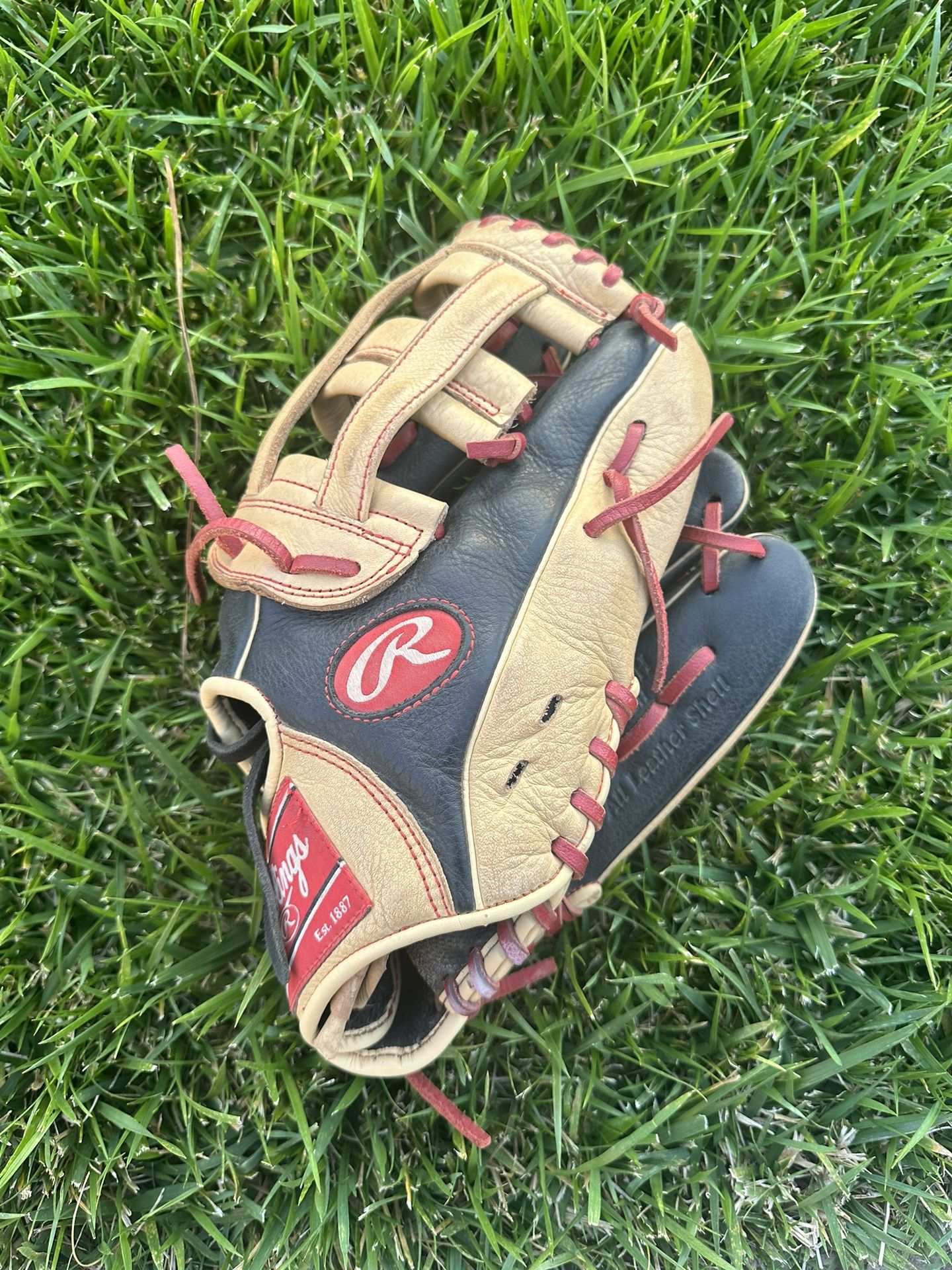 Rawlings Glove