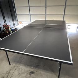 Ping Pong Table