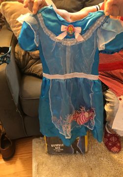 Alice in Wonderland Costume