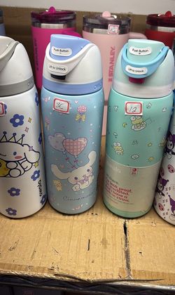 Owala Sanrio Water Bottles