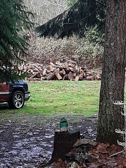 FIREWOOD mixed cut ,split and by the truck load 50 bucks tossed in and ready to be picked up