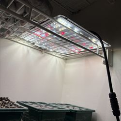 Full Spectrum Spider Farmer Grow Light