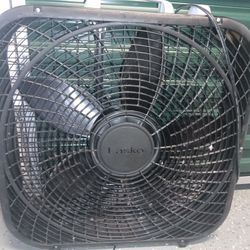 Fan