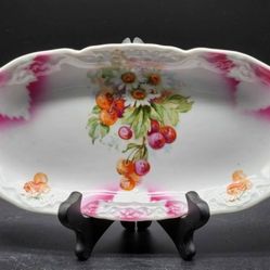Bavarian Germany Porcelain Hand Painted Celery Dish c. Late 1800s to Early 1900s