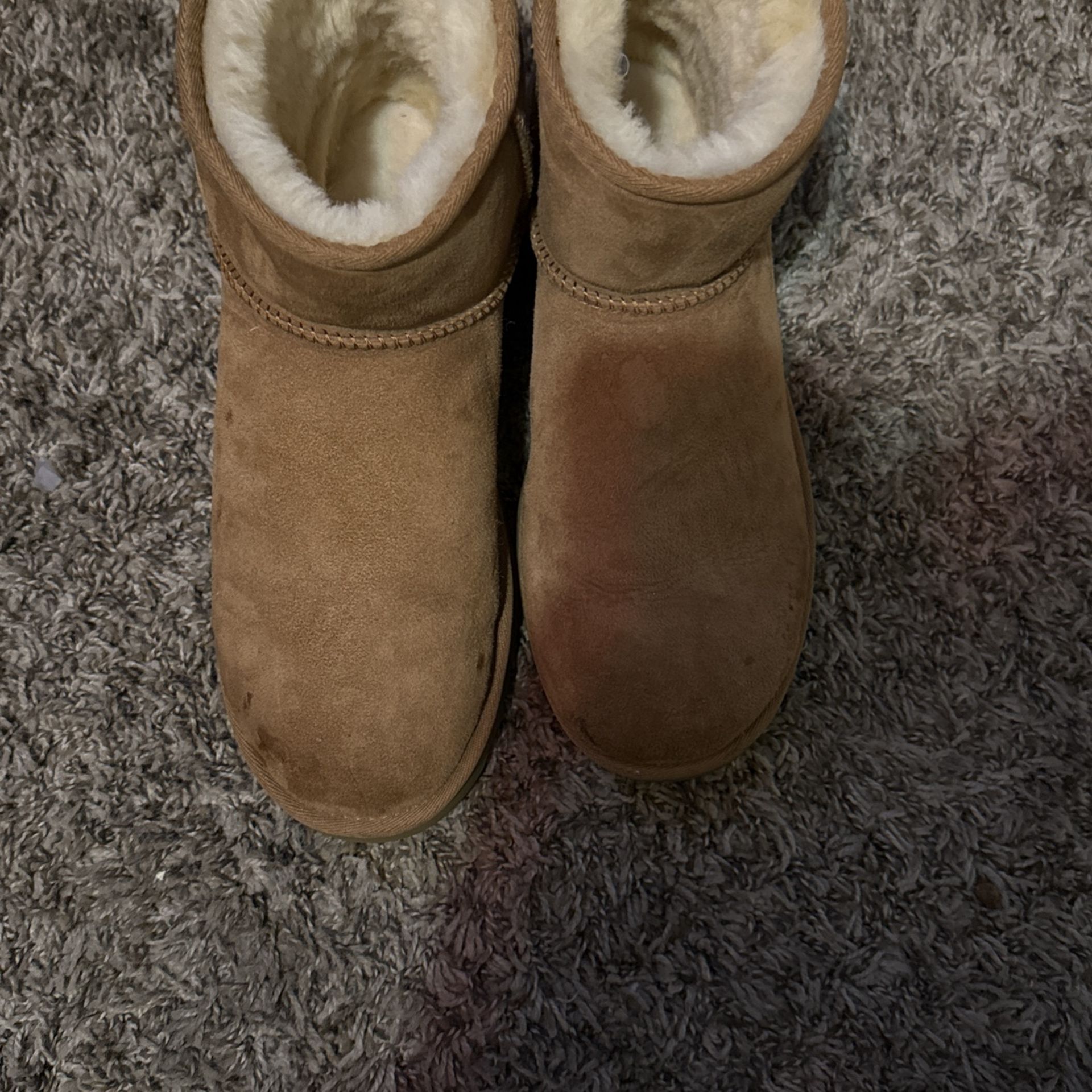 UGG Classic Mini Boot