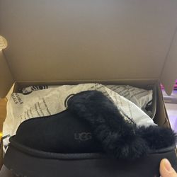 Uggs Size 7
