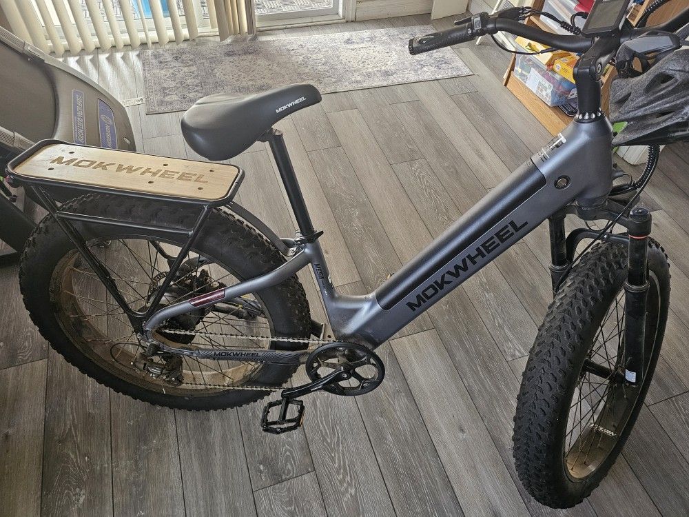 Mokwheel Electric Bike