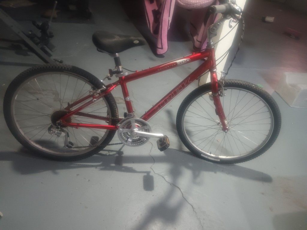 Trek 300 Navigator