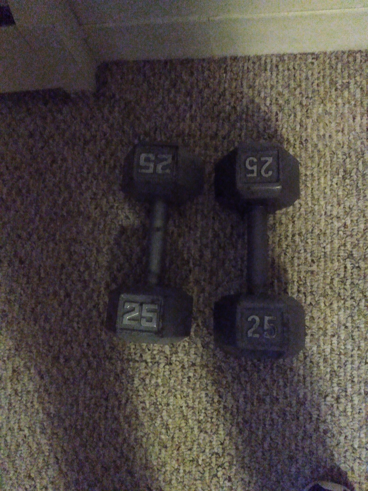 2-25 lb dumbbells