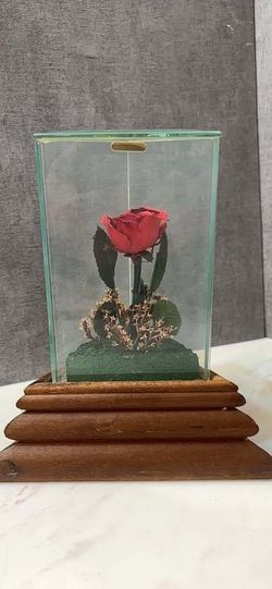 Preserved Rose in Glass music box