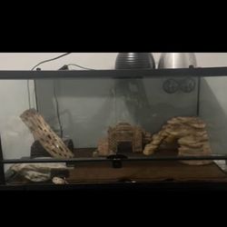 reptile Enclosure Plus Bearded Dragon