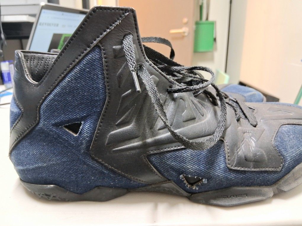 Nike LeBron Shoes