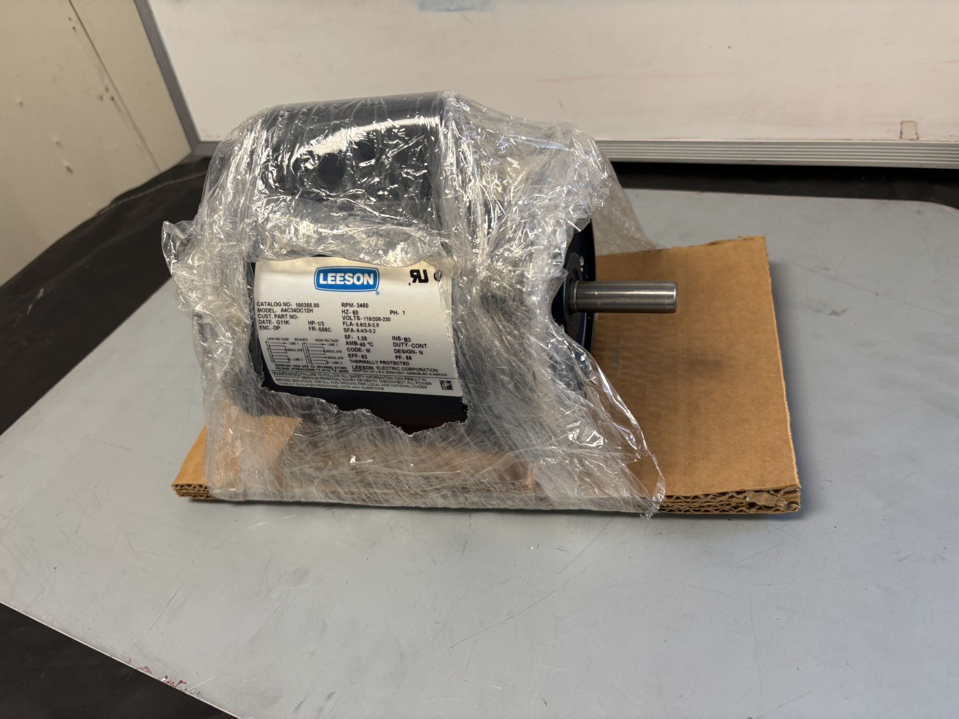 Leeson Electric Pump Motor (1/3 HP)